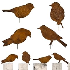 Sinzau rost vögel gebraucht kaufen  Wird an jeden Ort in Deutschland