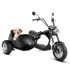 Eahora m1p sidecar for sale  Delivered anywhere in USA 