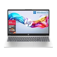 Laptop fc0010sl amd usato  Spedito ovunque in Italia 