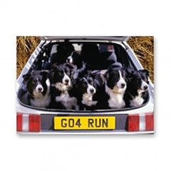 Faithful friends border for sale  Delivered anywhere in UK