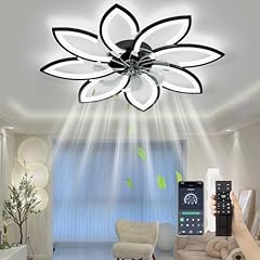 Spevch ceiling fans for sale  Delivered anywhere in USA 