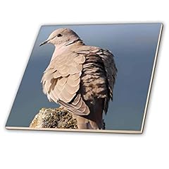 Inch ceramic tile for sale  Delivered anywhere in USA 