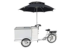 Cozytrikes electric bike for sale  Delivered anywhere in USA 