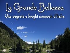 Grande bellezza vite usato  Spedito ovunque in Italia 