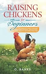 Raising chickens beginners for sale  Delivered anywhere in USA 