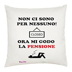 Cuscino decorato non usato  Spedito ovunque in Italia 
