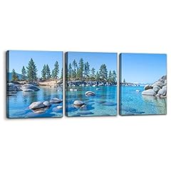 Pacimo canvas print for sale  Delivered anywhere in USA 