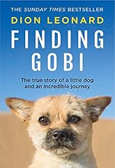 Finding gobi the d'occasion  Livré partout en Belgiqu