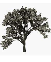 Conversationprints money tree for sale  Delivered anywhere in USA 