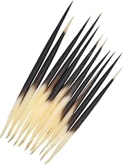 10pcs porcupine quills for sale  Delivered anywhere in UK
