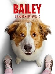 Bailey hund kehrt gebraucht kaufen  Wird an jeden Ort in Deutschland