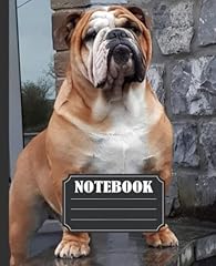 Beautiful bulldog notebook for sale  Delivered anywhere in UK