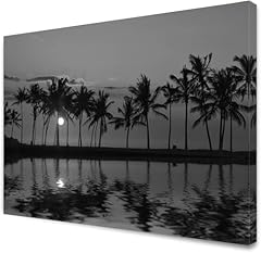 Black white hawaii for sale  Delivered anywhere in USA 