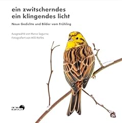 Zwitscherndes klingendes licht gebraucht kaufen  Wird an jeden Ort in Deutschland