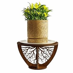 Eigen wood plant for sale  Delivered anywhere in USA 