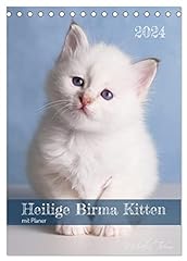 Heilige birma kittenkalender gebraucht kaufen  Wird an jeden Ort in Deutschland