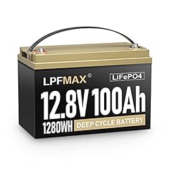 12v 100ah lifepo4 for sale  Delivered anywhere in USA 