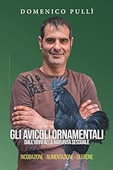 Gli avicoli ornamentali usato  Spedito ovunque in Italia 