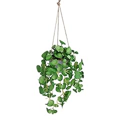 Dallisten mini hanging for sale  Delivered anywhere in USA 