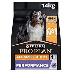 Pro plan adult for sale  Delivered anywhere in UK