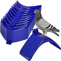 Coloch pcs dove for sale  Delivered anywhere in USA 