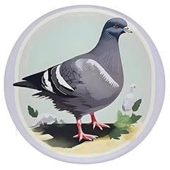 Aqrjlpm grey pigeon for sale  Delivered anywhere in UK