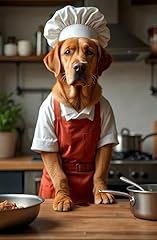 Fox red labrador for sale  Delivered anywhere in UK