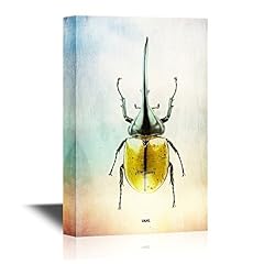 Wall26 insects artwork for sale  Delivered anywhere in USA 