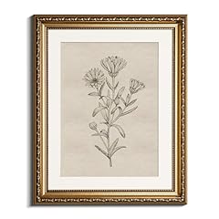 Insimsea gold picture for sale  Delivered anywhere in USA 