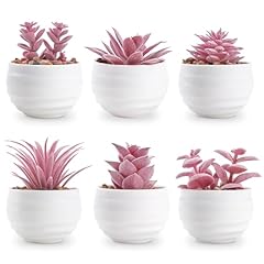 Der rose set for sale  Delivered anywhere in USA 