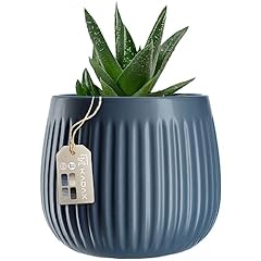 Kadax vaso fiori usato  Spedito ovunque in Italia 