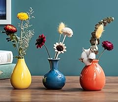 Eweigeer ceramic colorful for sale  Delivered anywhere in USA 