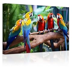 Zxhywym parrot canvas for sale  Delivered anywhere in USA 