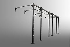 Freedomstrength crossfit funzi usato  Spedito ovunque in Italia 
