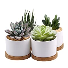 Zoutog succulent planter for sale  Delivered anywhere in USA 