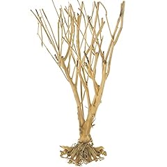 Tfwadmx aquarium tree for sale  Delivered anywhere in USA 