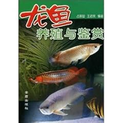 Arowana breeding appreciation for sale  Delivered anywhere in UK