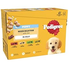 Pedigree junior wet for sale  Delivered anywhere in UK