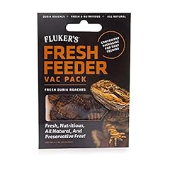 Fluker fresh feeder for sale  Delivered anywhere in USA 