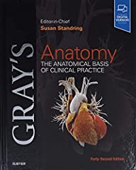 Gray anatomy anatomical for sale  Delivered anywhere in USA 