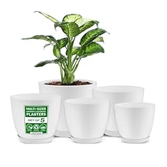 Lifemaster 5pcs plant for sale  Delivered anywhere in USA 