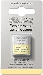 Winsor newton professional usato  Spedito ovunque in Italia 