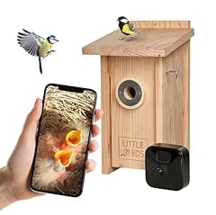 Little birds kamera gebraucht kaufen  Wird an jeden Ort in Deutschland