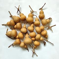 Ghy decor natural for sale  Delivered anywhere in USA 