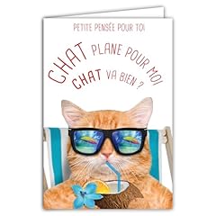 6221 carte petite d'occasion  Livré partout en France