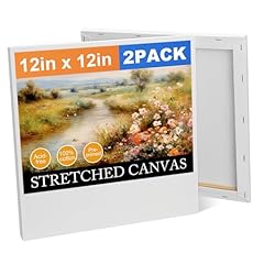 Pack stretched canvas for sale  Delivered anywhere in USA 