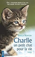 Charlie petit chat d'occasion  Livré partout en France