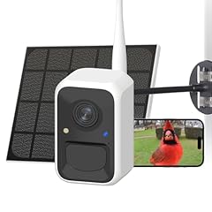 Netvue birdfy upgraded for sale  Delivered anywhere in USA 