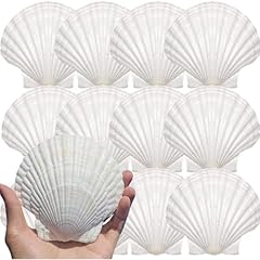 Yunmoe 12pcs large for sale  Delivered anywhere in USA 