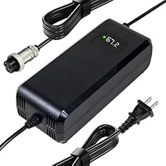 Yzpower 67.2v 3amps for sale  Delivered anywhere in USA 